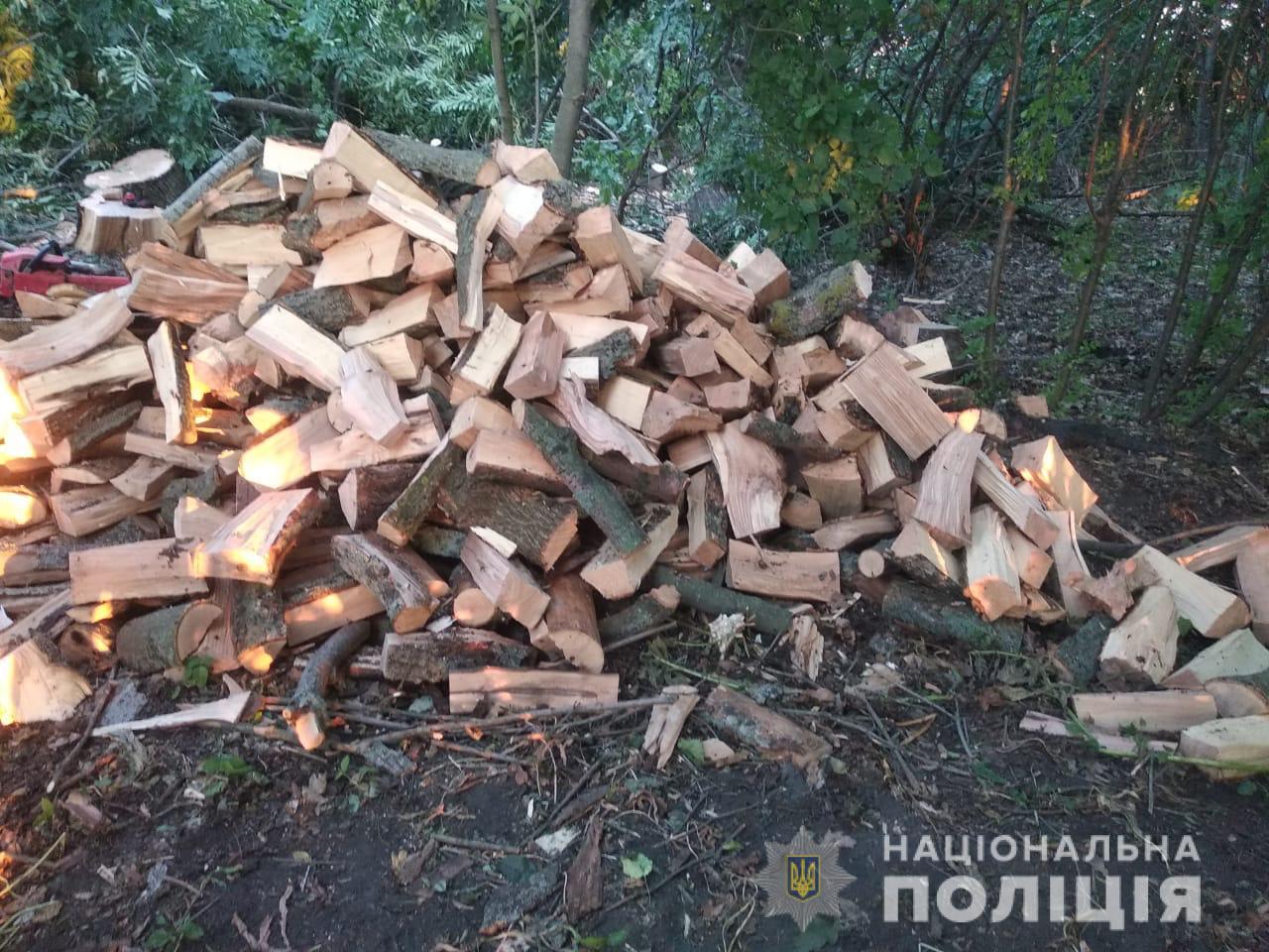 Незаконная вырубка леса на Харьковщине